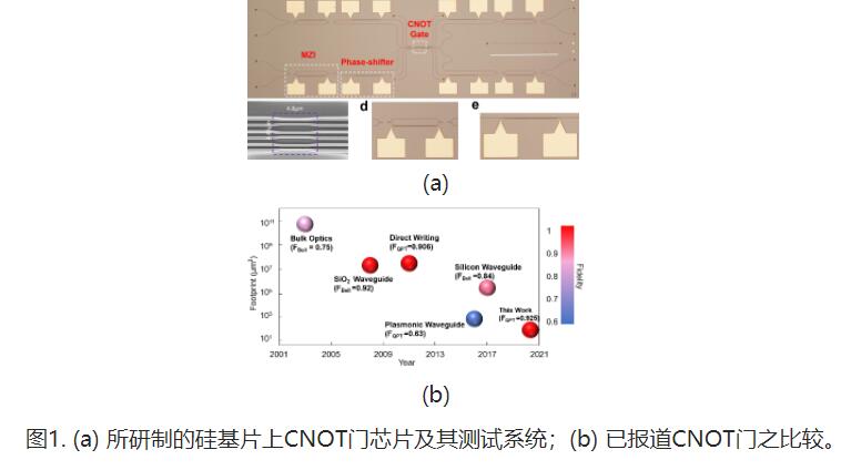 浙江大学-中科大团队成功研制世界最小的片上光量子受控非门